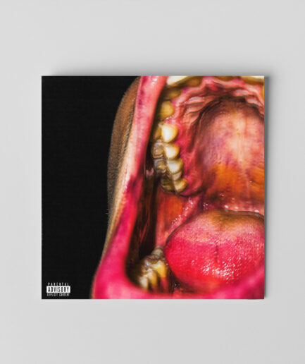 Kamufle – Tüm Suç Ritimlerin (Dijital)